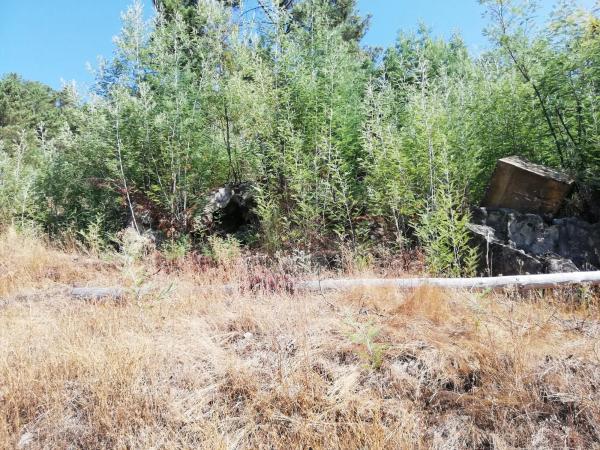 Terreno en calle Tarascon, 121