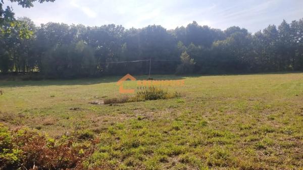 Terreno en Pereiro de Aguiar