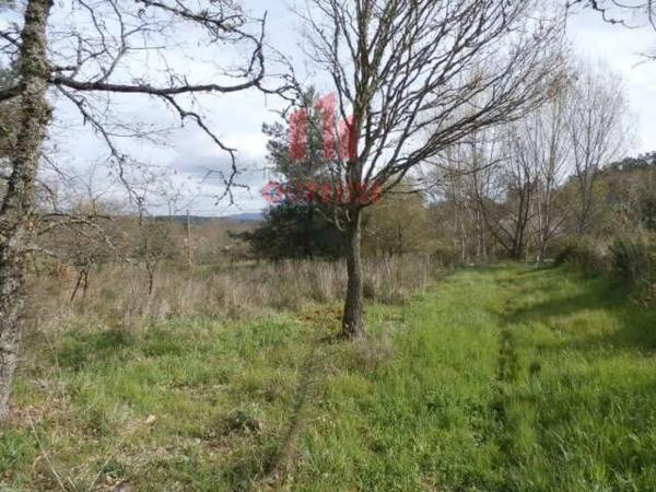 Terreno en Pereiro de Aguiar