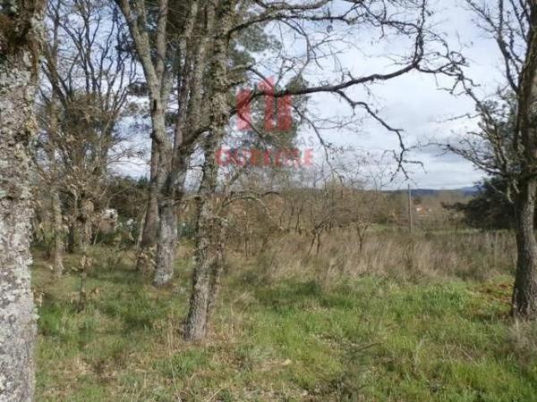 Terreno en Pereiro de Aguiar