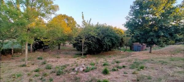 Terreno en Penalba s/n