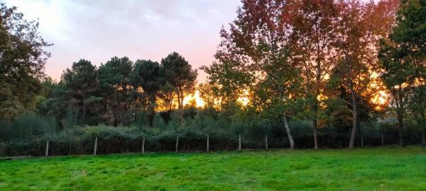 Terreno en Penalba s/n