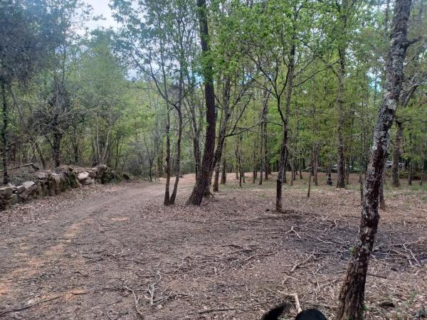 Terreno en Lugar de Pereiro de Aguiar s/n
