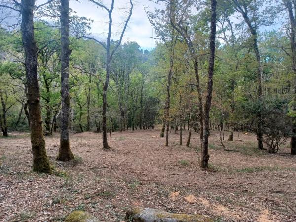 Terreno en Lugar de Pereiro de Aguiar s/n