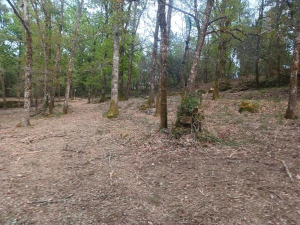 Terreno en Lugar de Pereiro de Aguiar s/n