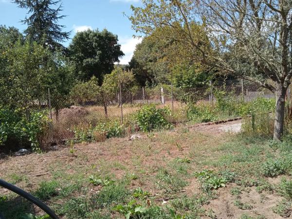 Terreno en Piñor s/n