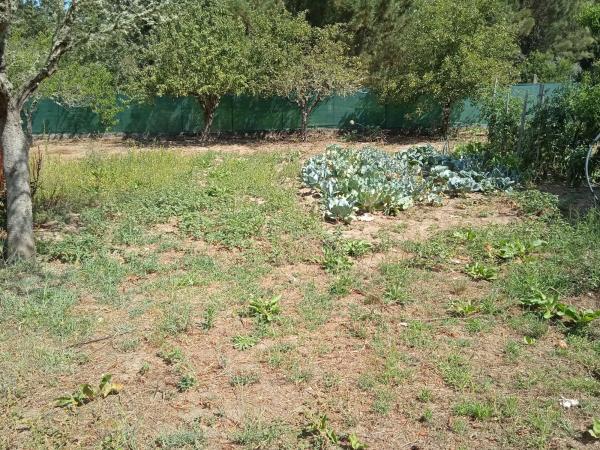 Terreno en Piñor s/n