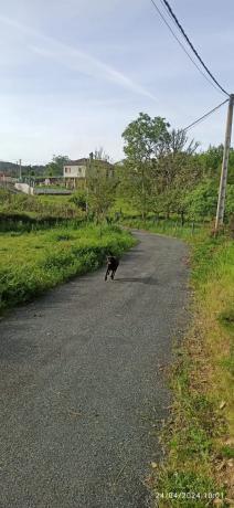 Terreno en Ou-0215, 116