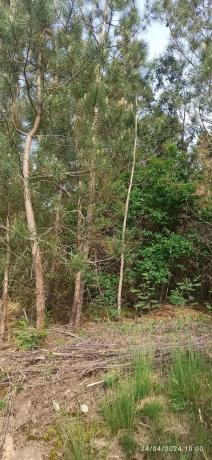 Terreno en Ou-0215, 116