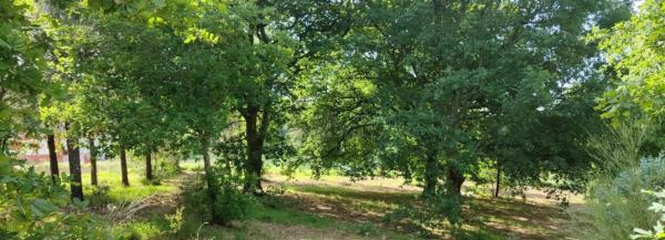 Terreno en 42.44543545600538, -7.8703713703445555, 42 maps