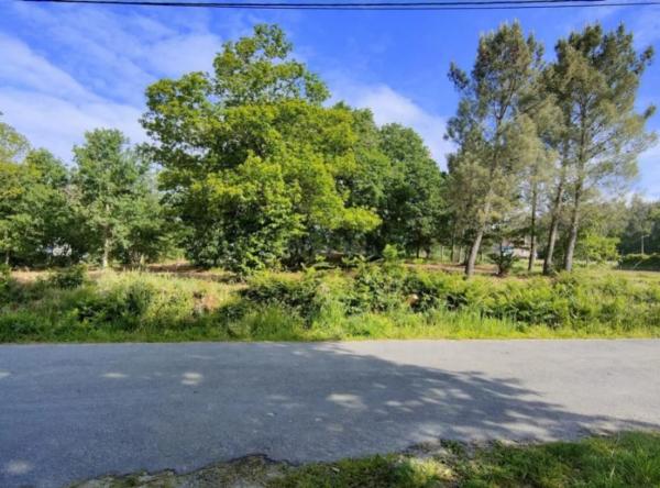 Terreno en 42.44543545600538, -7.8703713703445555, 42 maps