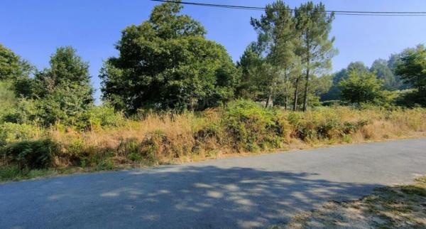 Terreno en 42.44543545600538, -7.8703713703445555, 42 maps