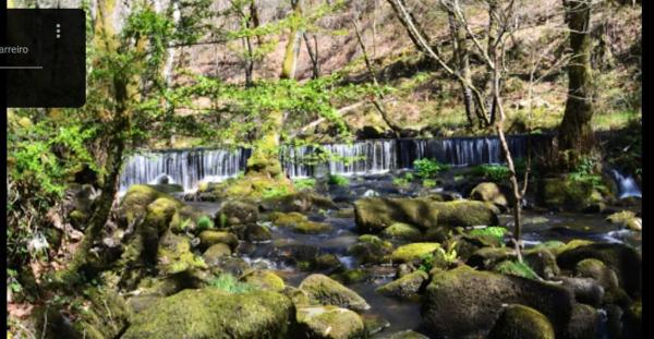 Terreno en 42.44543545600538, -7.8703713703445555, 42 maps