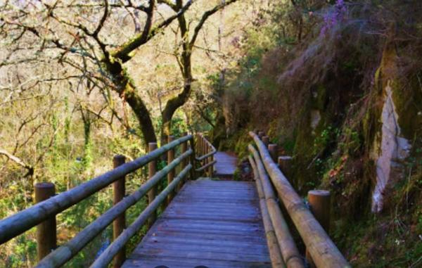 Terreno en 42.44543545600538, -7.8703713703445555, 42 maps