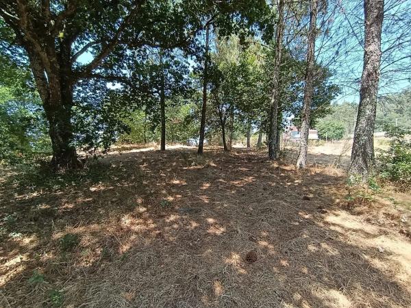 Terreno en 42.44543545600538, -7.8703713703445555, 42 maps