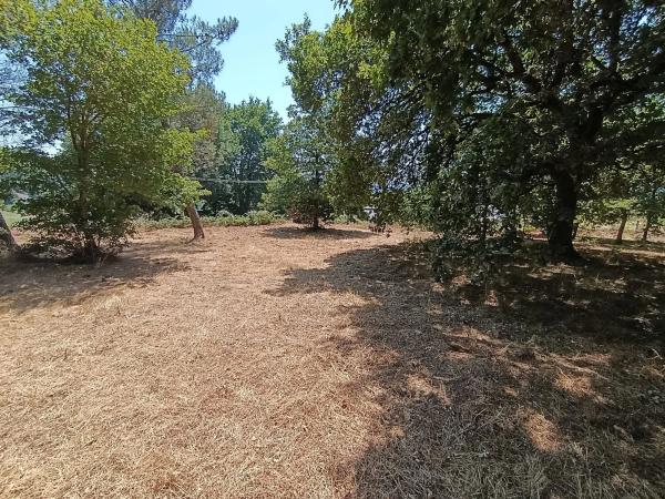 Terreno en 42.44543545600538, -7.8703713703445555, 42 maps