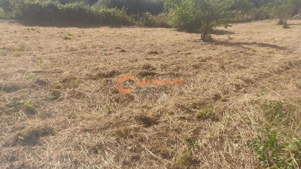 Terreno en San Cibrao das Viñas