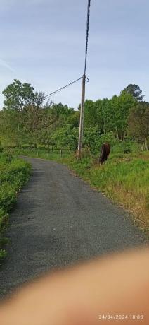 Terreno en calle Xestosa, 331