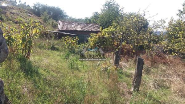 Terreno en Pereiro de Aguiar
