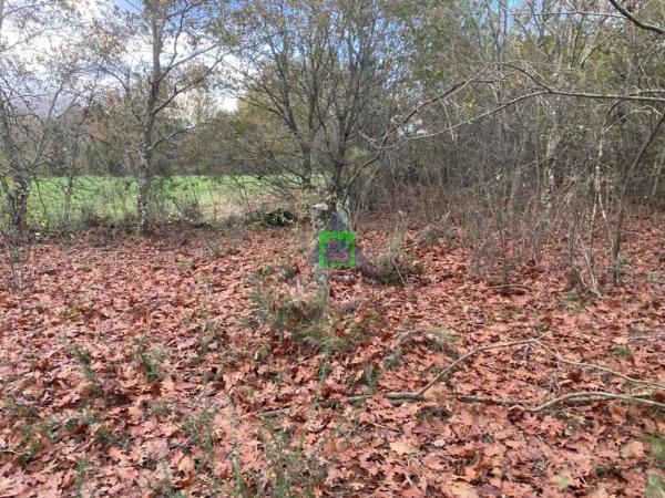 Terreno en Vilamarin