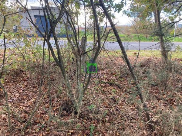 Terreno en Vilamarin