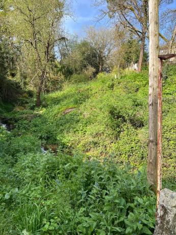 Terreno en avenida de Celanova, 134