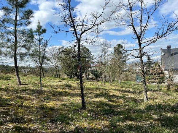 Terreno en San Cibrao das Viñas
