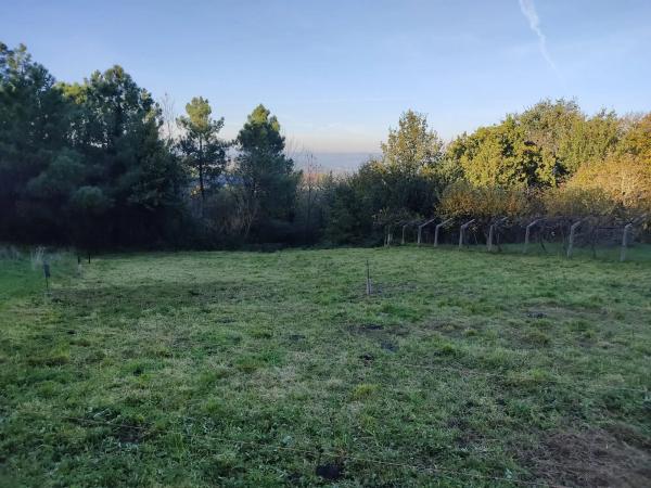 Terreno en Caseriu Soutomaior, 29