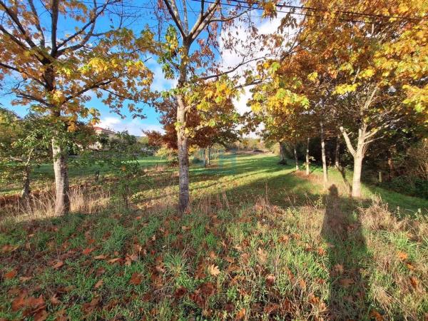 Terreno en Pereiro de Aguiar