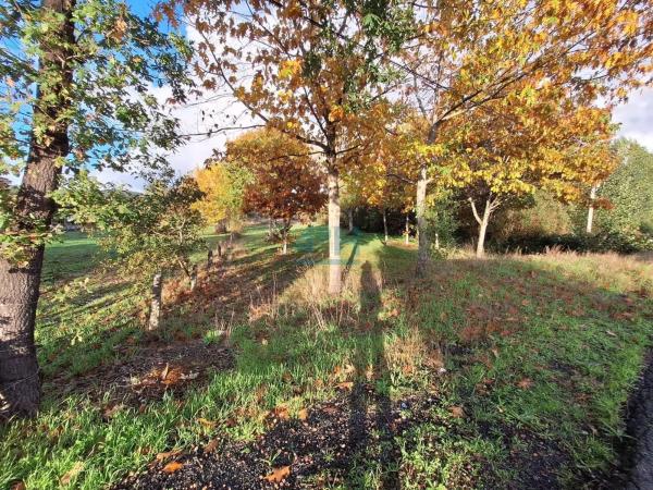 Terreno en Pereiro de Aguiar