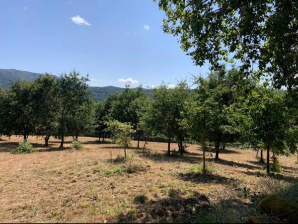 Terreno en Costa do can. Coles s/n