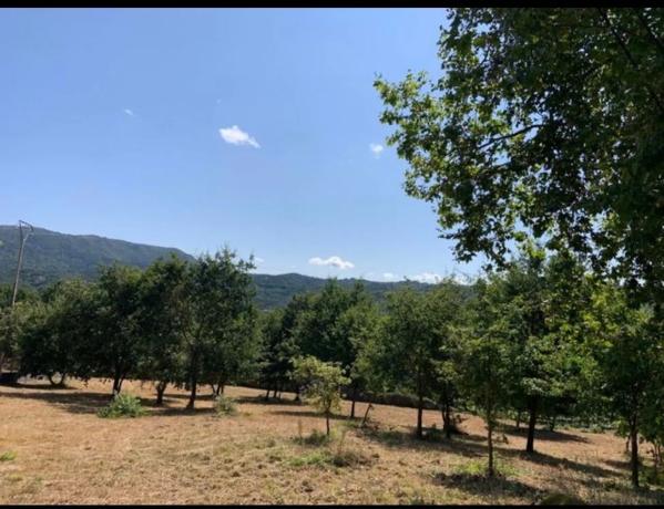 Terreno en Costa do can. Coles s/n