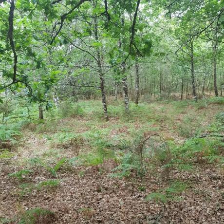 Terreno en camino Barra de Miño