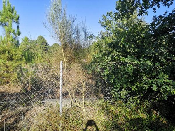 Terreno en Aldea Penedo