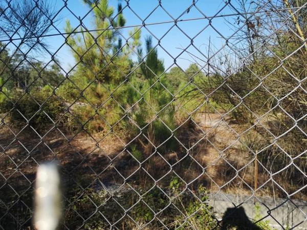 Terreno en Aldea Penedo