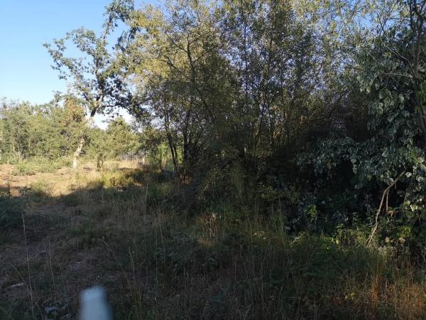 Terreno en Aldea Penedo