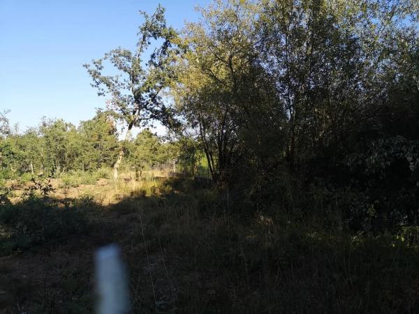 Terreno en Aldea Penedo