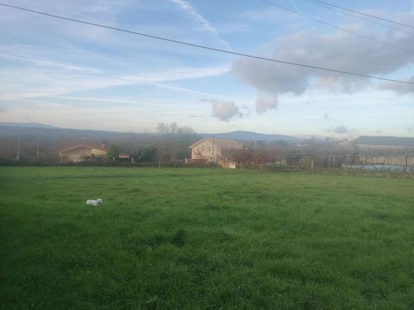 Terreno en Concello de Amoeiro, 35