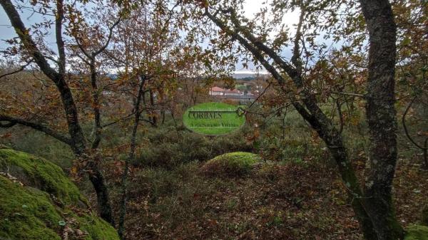 Terreno en Taboadela