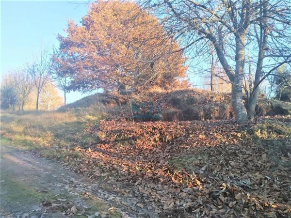 Terreno en San Cibrao das Viñas