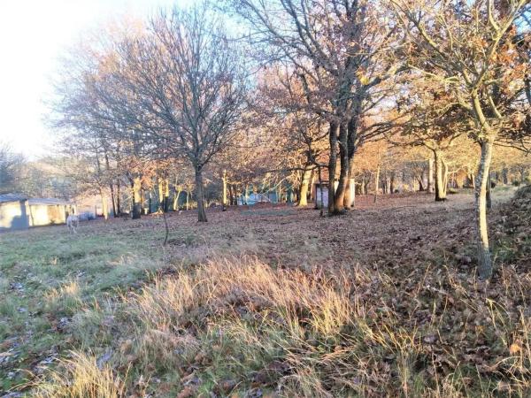 Terreno en San Cibrao das Viñas