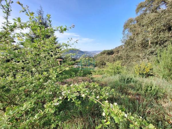 Terreno en Pereiro de Aguiar