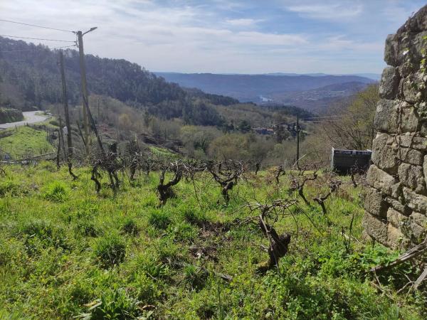 Terreno en a Peroxa s/n sn