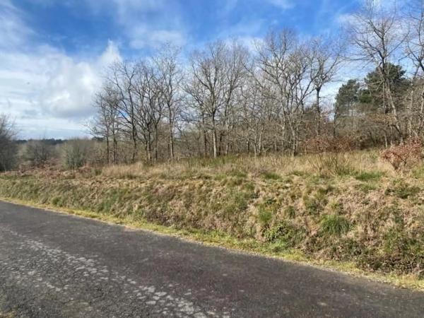 Terreno en calle Nova, 3