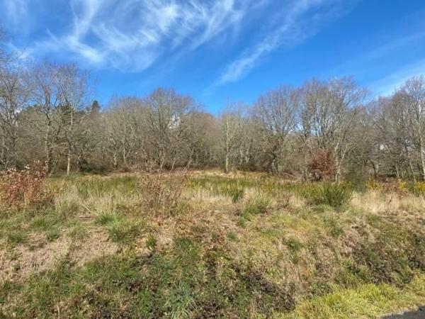 Terreno en calle Nova, 3