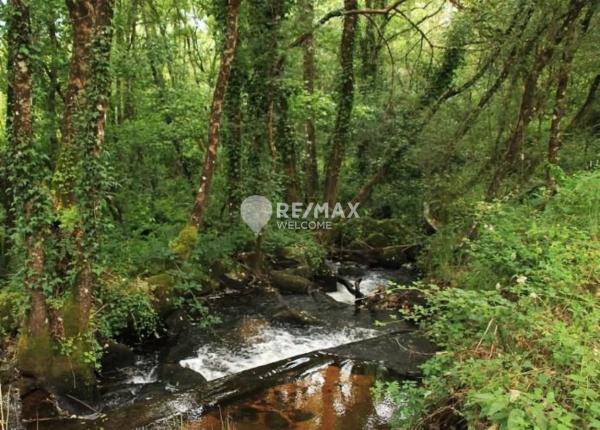 Terreno en San Cibrao das Viñas