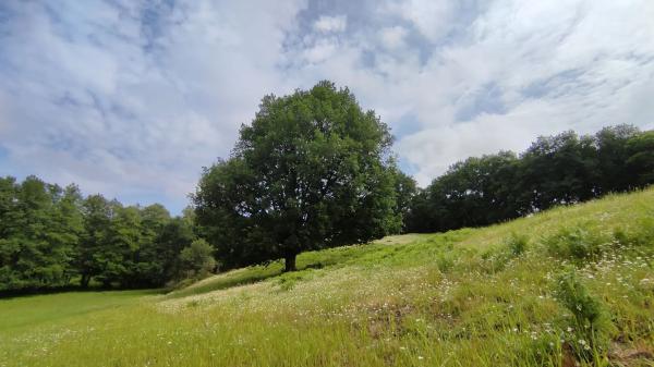 Terreno en As Paraxas, km 5