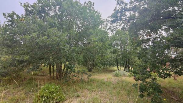 Terreno en San Cibrao das Viñas