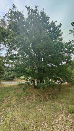 Terreno en San Cibrao das Viñas