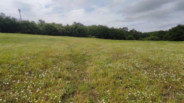 Terreno en As Paraxas, km 5